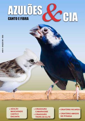 Azulões & Cia Edição Digital Nº 6