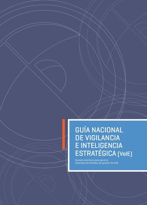 Guia Nacional De Vigilancia E Inteligencia Estrategica Vt Ie