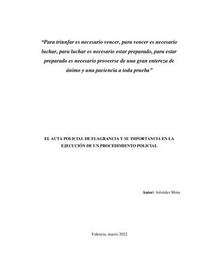 El Acta Policial De Flagrancia Y Su Importancia En La Ejecución De Un Procedimiento Policial