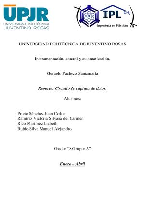 Reporte Circuito De Base De Datos
