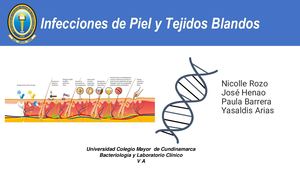 Seminario Infecciones de Piel Y Tejidos Blandos