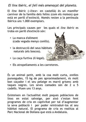 El Linx Ibèric Amb Respostes Múltiples