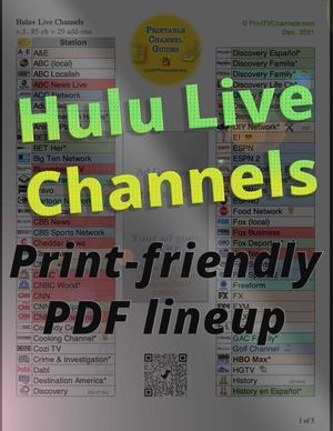 Printable Hulu TV Channels Lineup 2021 | TV CHANNEL GUIDES | Free Hulu Live Channels PDF!