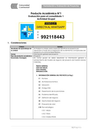 Formulacion Y Evaluacion De Proyectos - Pa1