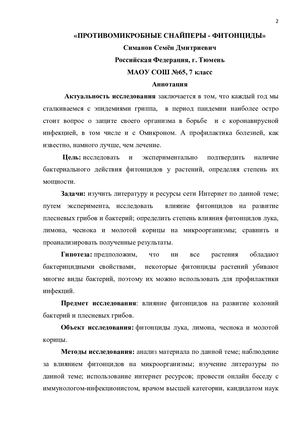 Симанов_работа.