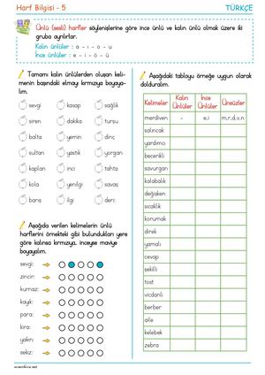 3 Sınıf Harf Bilgisi 5