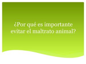 Como Evitar El Maltrato Animal
