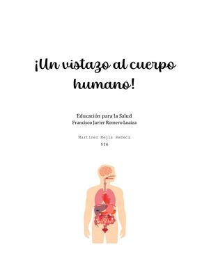 Un Vistazo Al Cuerpo Humano
