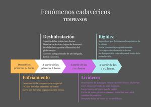 Línea De Tiempo Fenómenos Cadavéricos