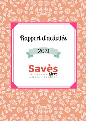 Rapport d'Activités 2021