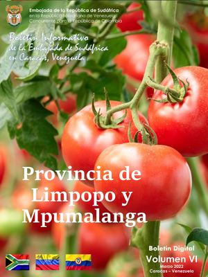 Boletín Informativo Za 6ta Volumen Marzo 2022