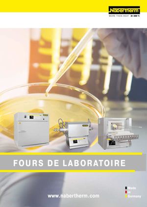Catalogue Nabertherm Laboratory French 1