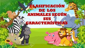 Clasificación De Los Animales Según Sus Características