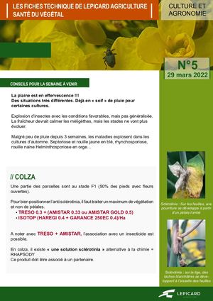 Fiche Agronomique N°5 Mars 2022