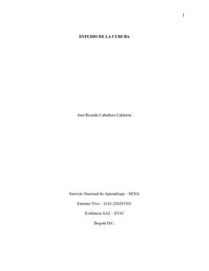 Sena Evidencia Aa2 Ev01 Entorno Vivo V Calameo