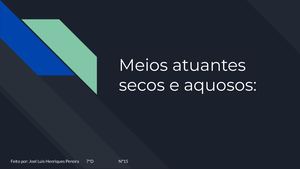 Joel Pereira Meios Atuantes Secos E Aquosos (1)