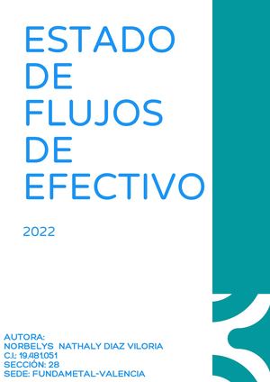 Revista Digital Estado De Flujos De Efectivo