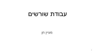 מעיין חן מצגת שורשים
