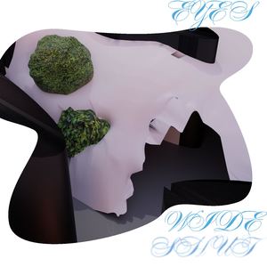 безвизуальное пространство — EYES WIDE SHUT