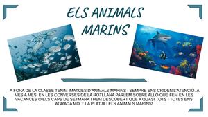 Projecte I5 Animals Marins