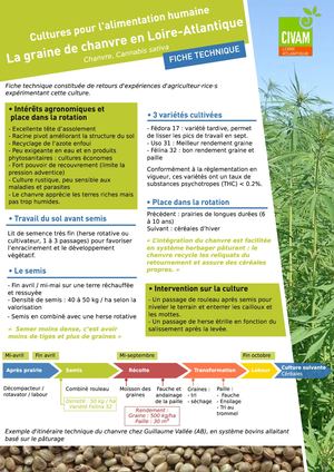 FICHE La Graine De Chanvre Compressed