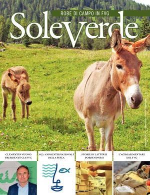 Soleverde Marzo Aprile 2022