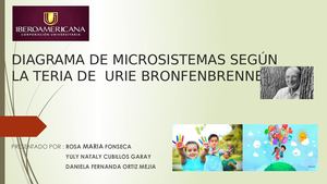 Diagrama De Microsistemas Según La Teria De Urie