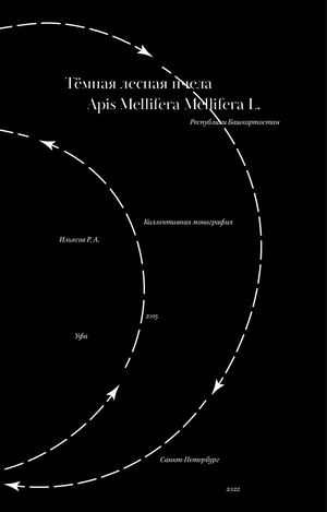 Поры медоносных пчёл