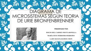 Diagrama De Microsistemas Según Teoria De Urie Bronfenbrenner 1