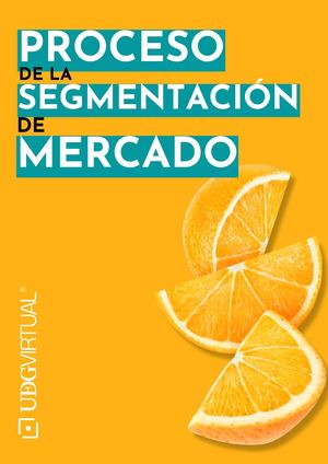 2.2 Proceso para la segmentación de mercados