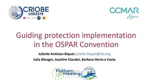 Guiding protection implementation in the OSPAR Convention