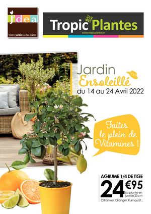 Tropic Plantes Jardin Ensoleille