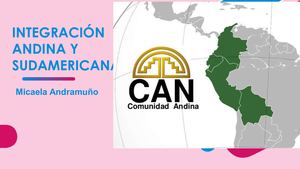 Integración Andina Y Sudamericana