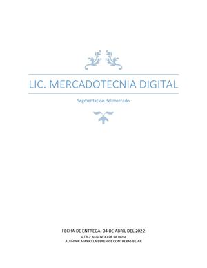 Segmentación Del Mercado