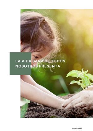 Diapositivas De Residuos Sólidos