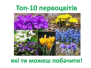Первоцвіти