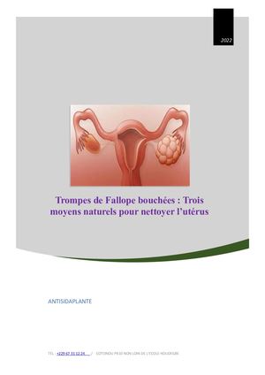 Trompes De Fallope Bouchées Trois Moyens Naturels Pour Nettoyer L’utérus