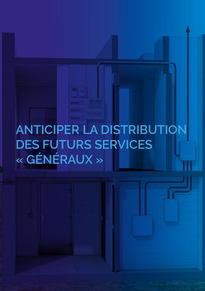 3 La Distribution Des Futurs Services « Généraux » P149 à 172