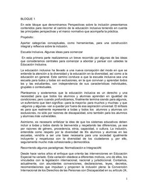 Capsula Construyendo La Inclusion Educativa