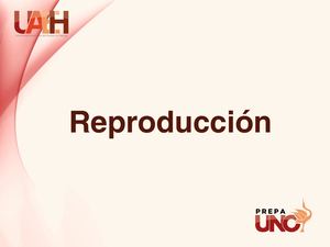 La Reproducción