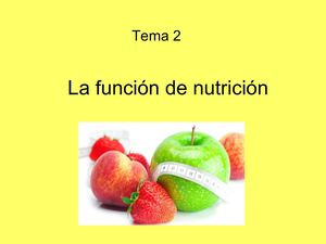 La Nutrición