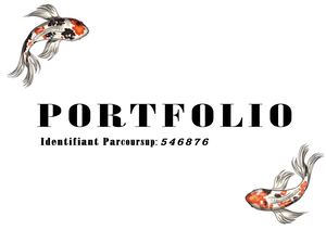 Portfolio Mmi Laval