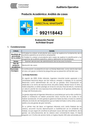 Auditoria Operativa - PA2