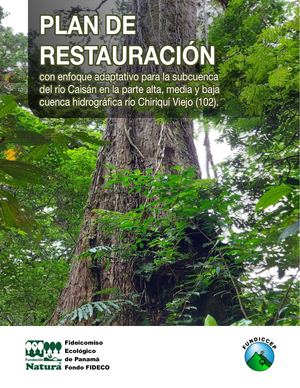 Plan De Restauración