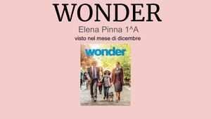Wonder Combined