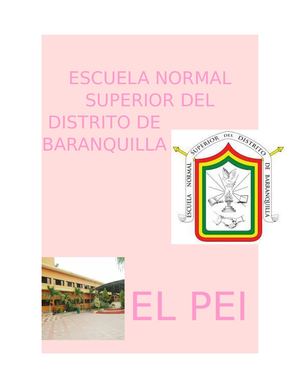EL PEI DE LA E.N.S.D.B