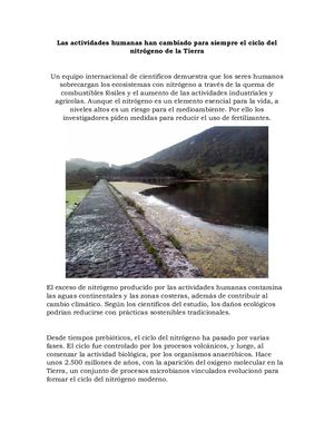 Las Actividades Humanas Han Cambiado Para Siempre El Ciclo Del Nitrógeno De La Tierra