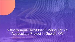 Velocity Aqua Helps Get Funding For An Aquaculture Project In Guelph, ON