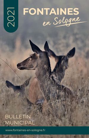 Bulletin Fontaines En Sologne 2020 2021