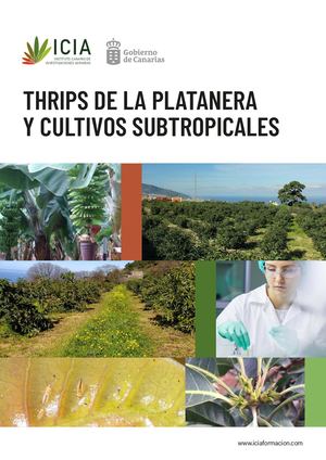 Thrips de la Platanera y Cultivos Subtropicales